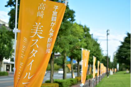 第15回子宮頸がん予防啓発『高崎美スタイルマラソン2026』