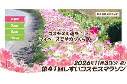 第41回しすいコスモスマラソン